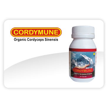 Cordymune Kapsul Kekebalan Tubuh