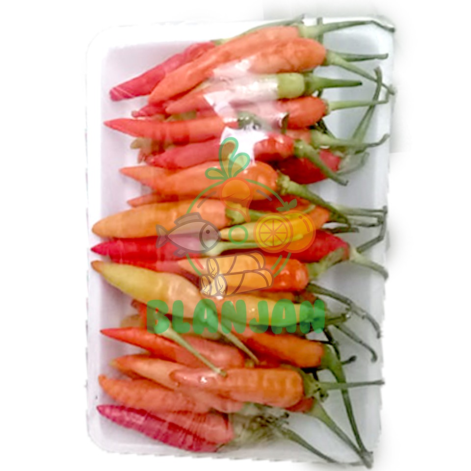 

SAYURAN SEMARANG cabai tomat sawi putih brokoli kentang jamur tiram kuping cabe packing anti virus