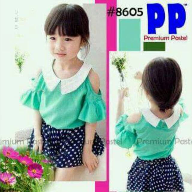 

Premium Pastel 8605