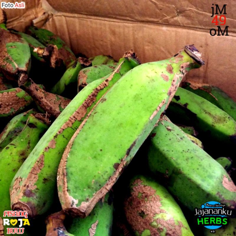 

1kg Pisang Raja Bulu Premium Mentah Murah Grosir