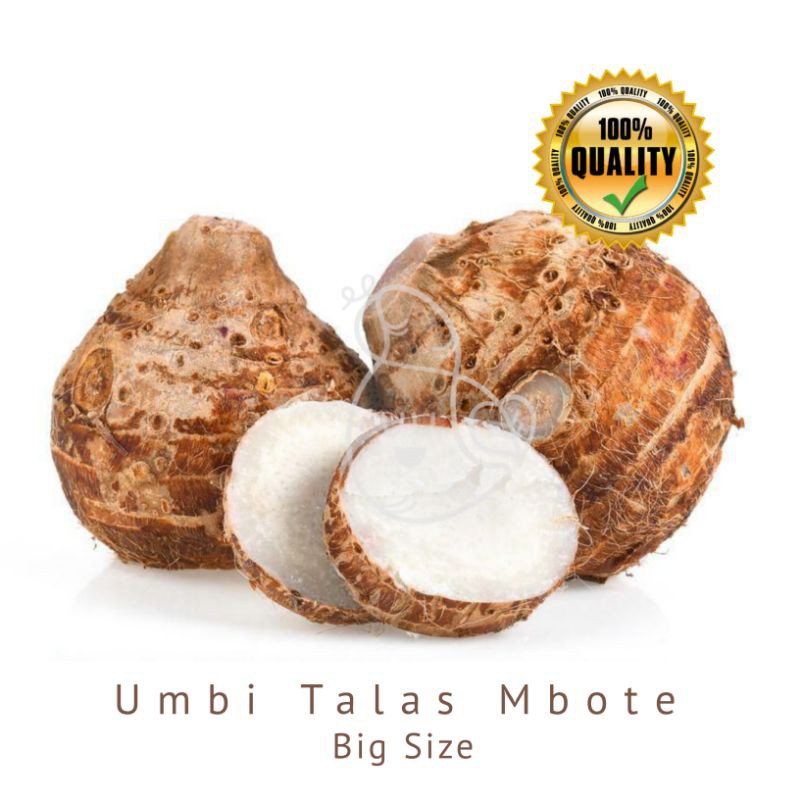 

Mbote / Umbi Talas Polo Pendem / Ubimart Official