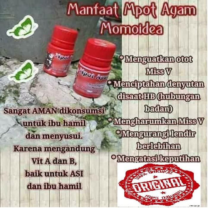 

MPOT AYAM MOMOIDEA