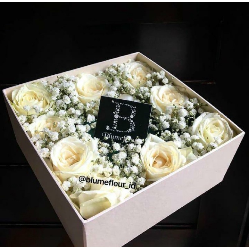 money bloom box