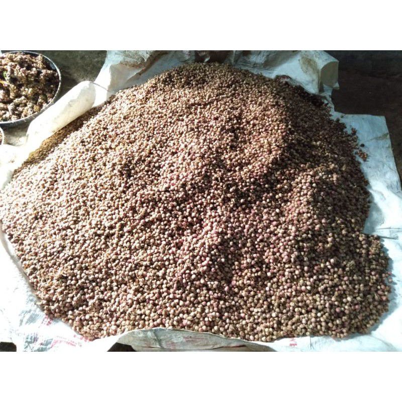 

Bisa Cod 1 kg Kapol Basah Kapulaga Fresh