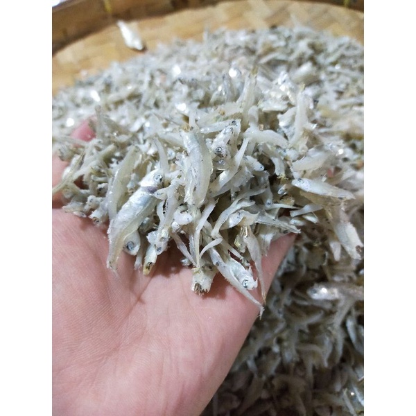 

Teri Peto Asli Medan 250gram