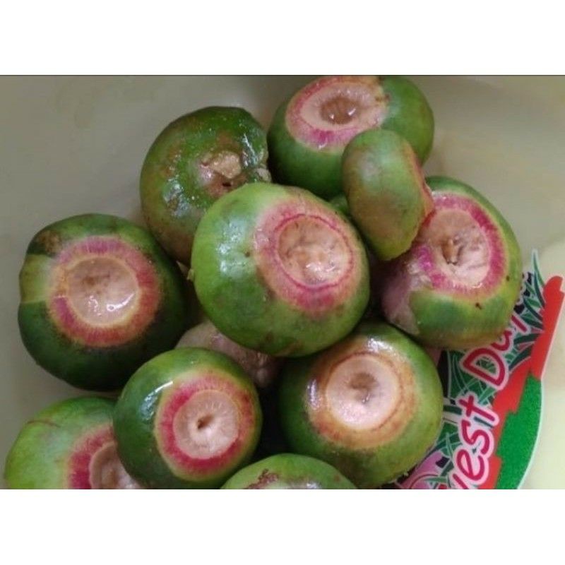 

BUAH PEDADA / BUAH POHON MANGRUVE / BUAH SEGAR 1KG