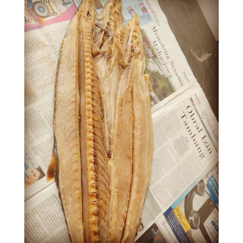 

Ikan Asin Telang Tengiri Fresh Asli Tabanio