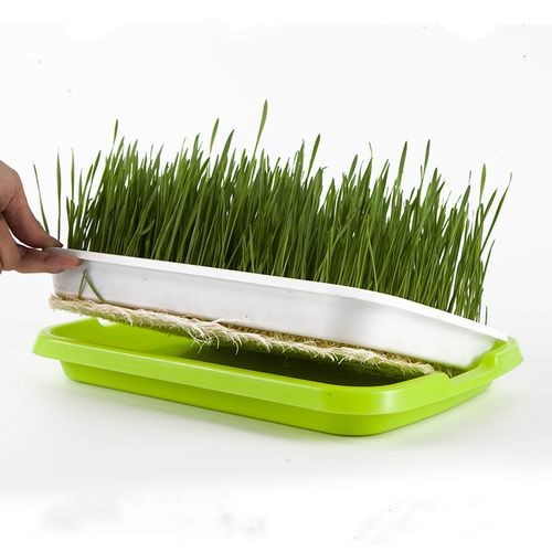 Double Layer Microgreen Tray / Wadah Semai Hidroponik