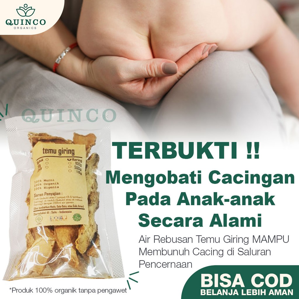 

Herbal TEMU GIRING KERING ASLI 100 gr rempah organik obat cacing JSR rempah bumbu dapur R152 curcuma