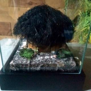 Jual Miniatur Rumah Adat Honai Papua Irian Jaya Indonesia Shopee Indonesia