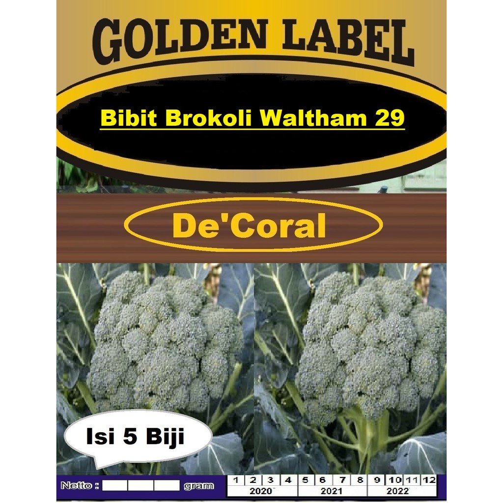Bibit Brokoli Waltham 29 | Benih Brokoli Waltham 29