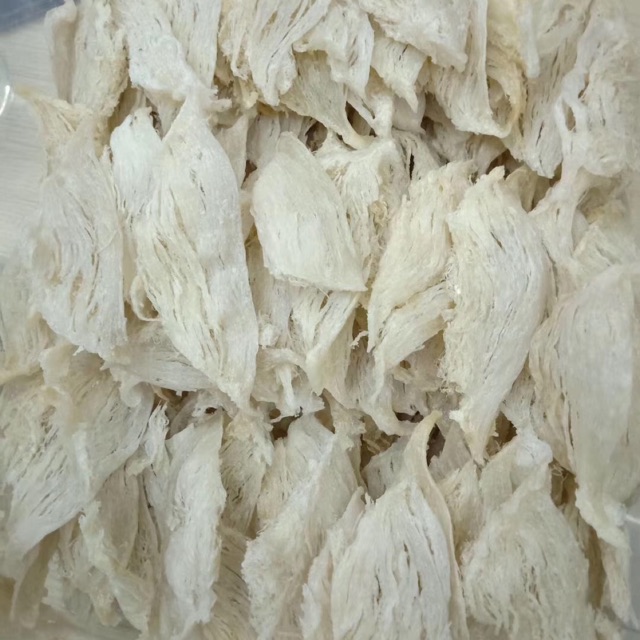 Sarang/iler burung WALET 100 gr