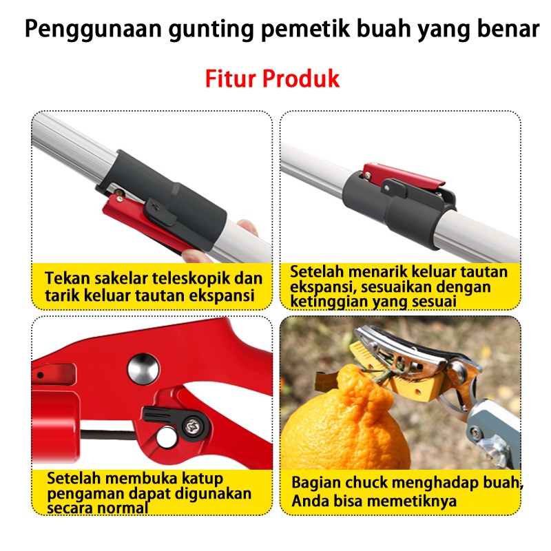 Pemetikan buah yang dapat ditarik dari ketinggian tinggi, pohon buah, pemetik buah, gunting pemangkas