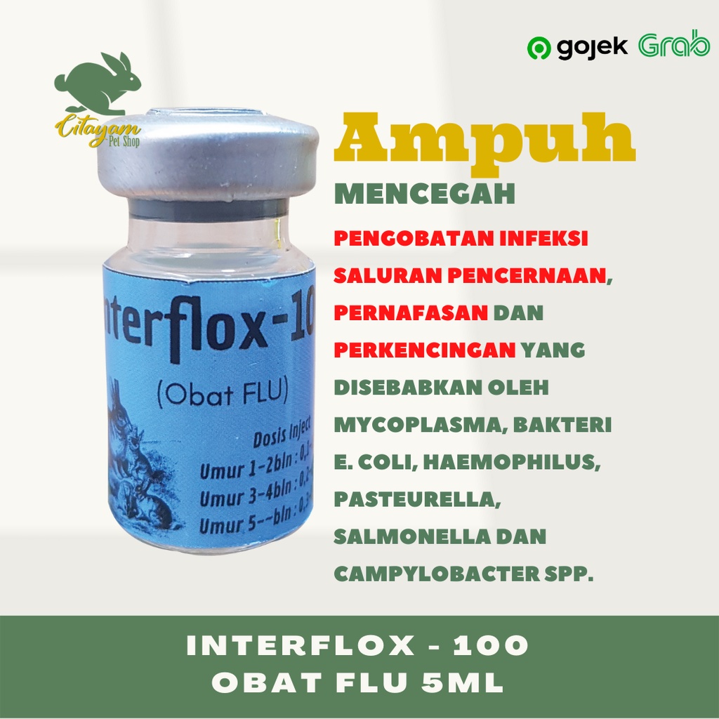 INTERFLOX-100 INJEKSI 5ML OBAT FLU FREE JARUM SUNTIK