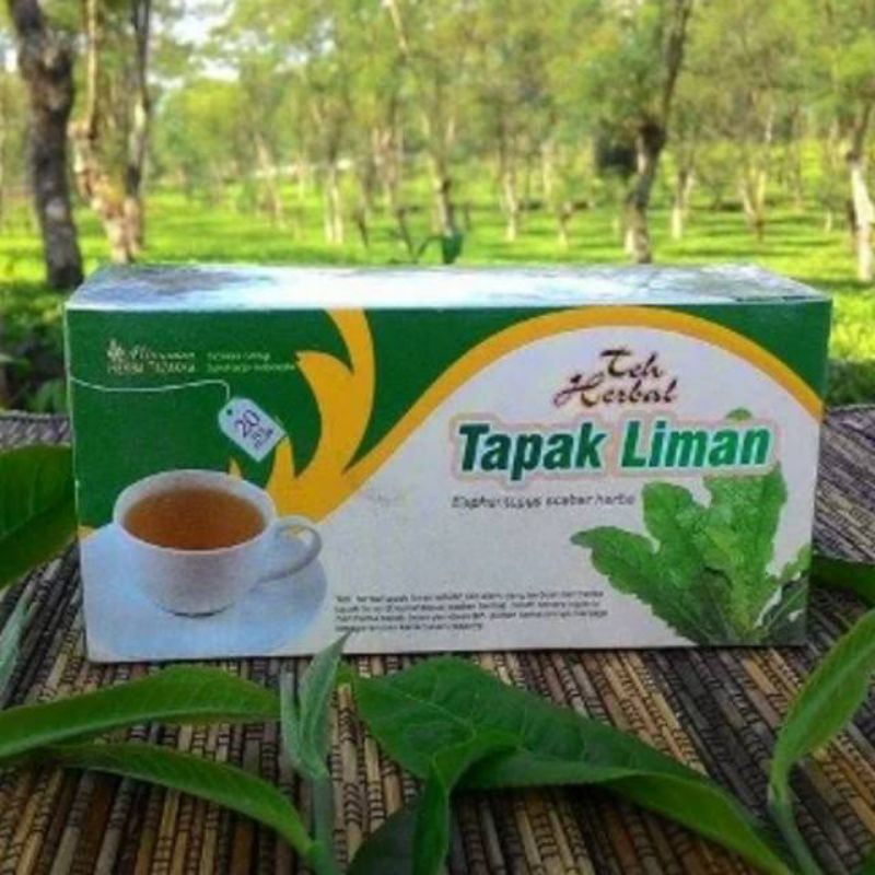 

Teh Tapak Liman/ Herbal anti radang/ Menyehatkan Liver/ Original Tazakka isi 20 kantong