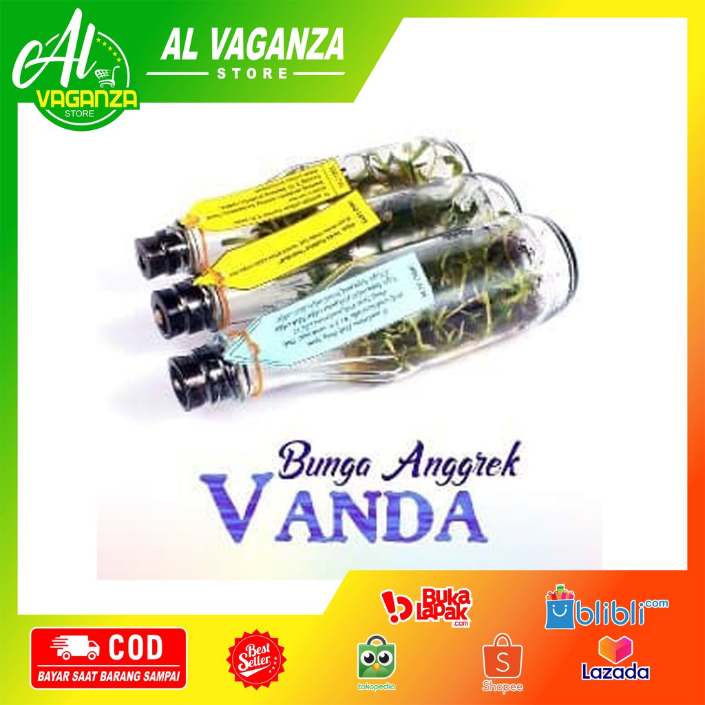 COD Bibit Anggrek Botol Bulan/Phalaenopsis, Dendrobium, Cattleya, Vanda: