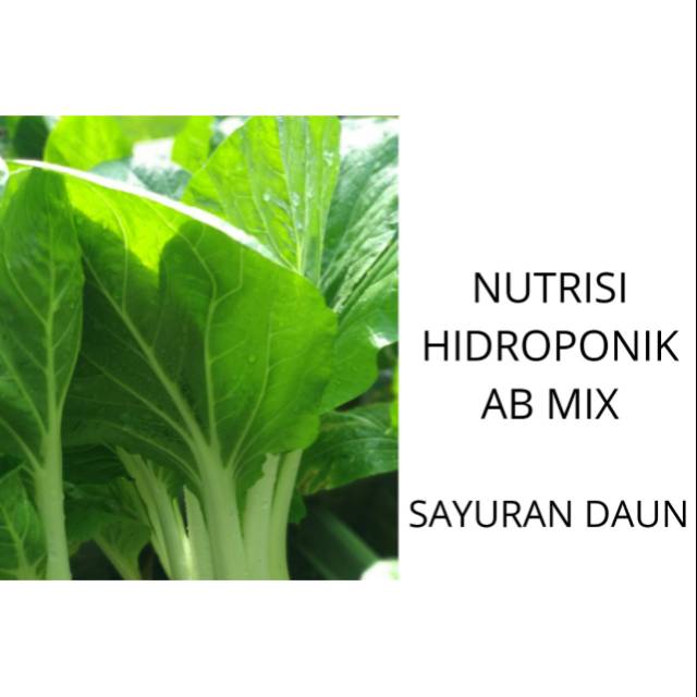 AB Mix Sayuran Daun