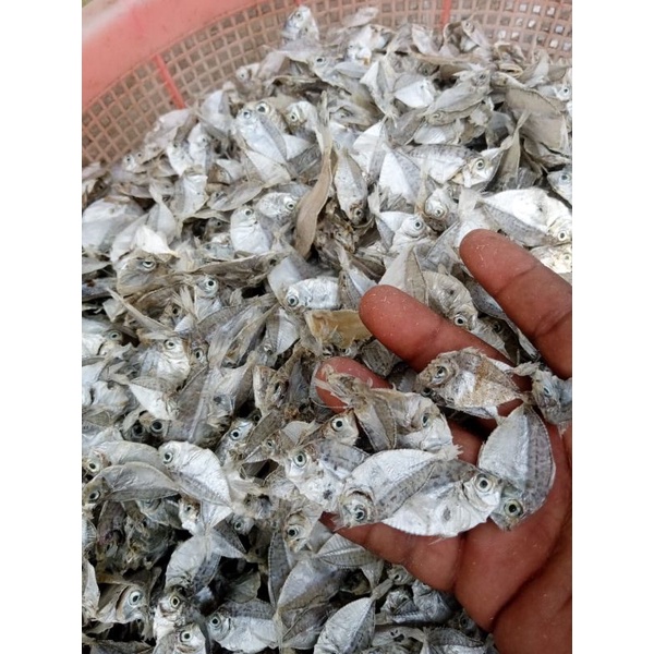 

ikan tawar