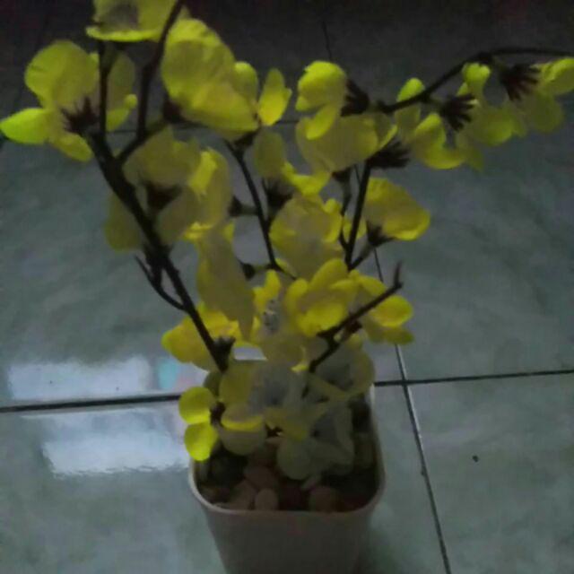 Bunga Sakura Kuning Artificial Plus Pot