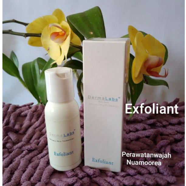 PROMO//EXFOLIANT 28,4 GR NU AMOOREA PT.DEP/EXFOLIANT ORGINAL/EXFOLIANT TERMURAH