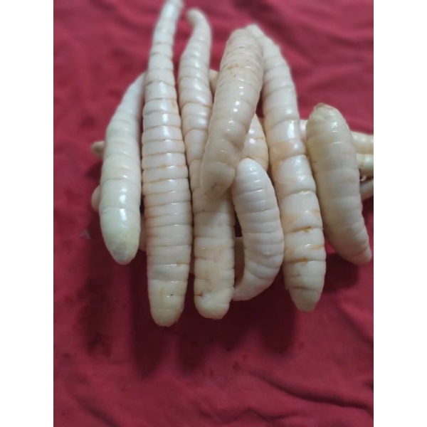 

TEPUNG GARUT/PATI ASAM LAMBUNG/ANGKRIK /ARROWROOT ASLI HOMEMADE 100% TANPA CAMPURAN 100gr, 250gr