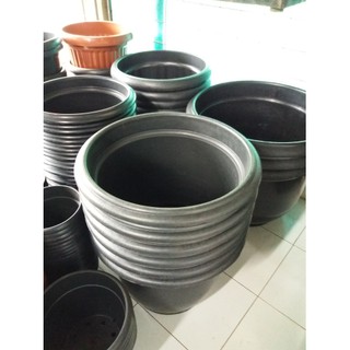 Harga Terbaik pot  besar  70cm pot  tanaman cempaka Hitam 