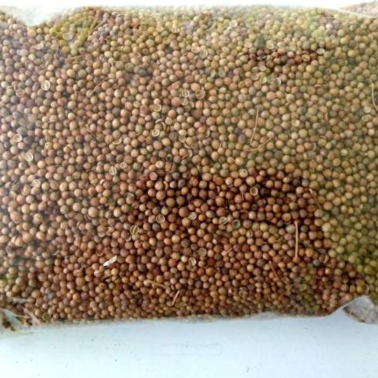 

BestSeller⛄ Ketumbar 500gr / Biji Ketumbar Alami Natural Tanpa Pemutih | NEW | REBORN | Rilis | New event