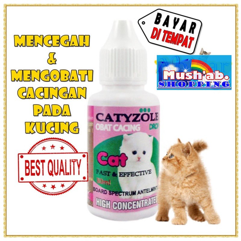 Obat Kucing Cacingan Obat Cacing Kucing Tetes Untuk Kucing Kitten Dan Dewasa Catyzole 30ML