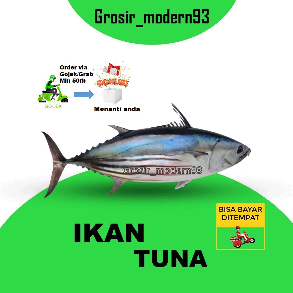 

IKAN TUNA POTONG