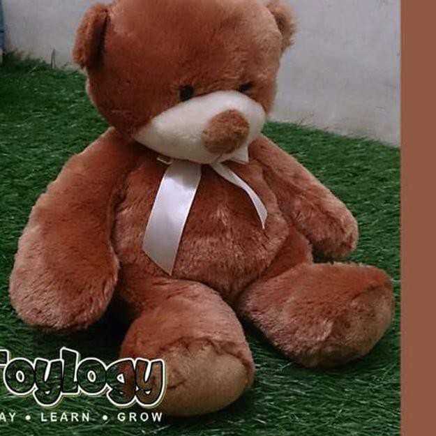 brown bear doll