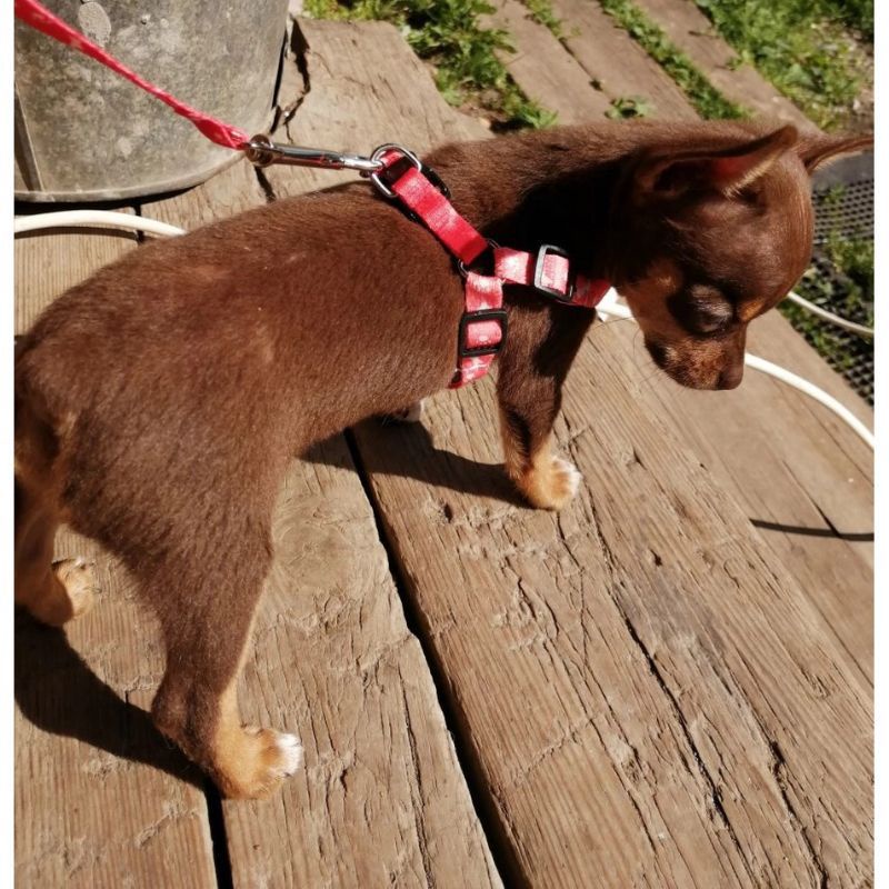 kalung tali tuntun motif berkualitas zeorfarm