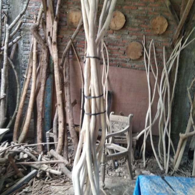 Dekorasi dinding Ranting kayu jati kerjinan macrame