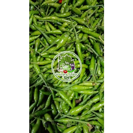 

Cabe rawit hijau 250 gram | Fresh Vagetable