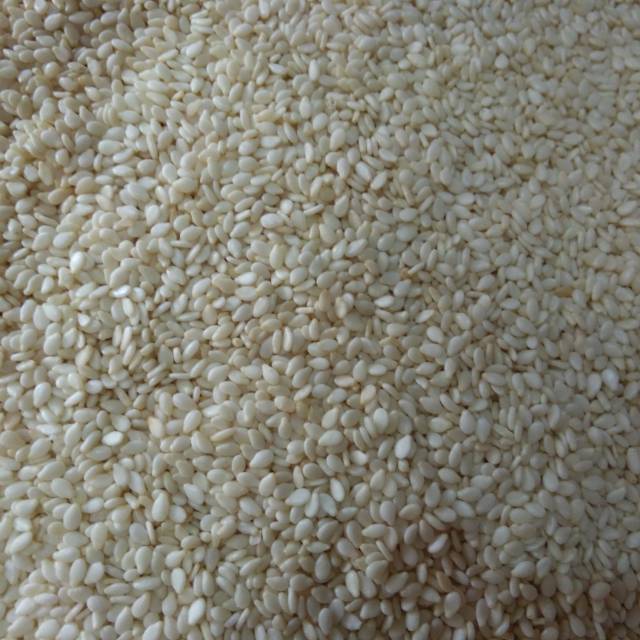 

Biji wijen putih 250g