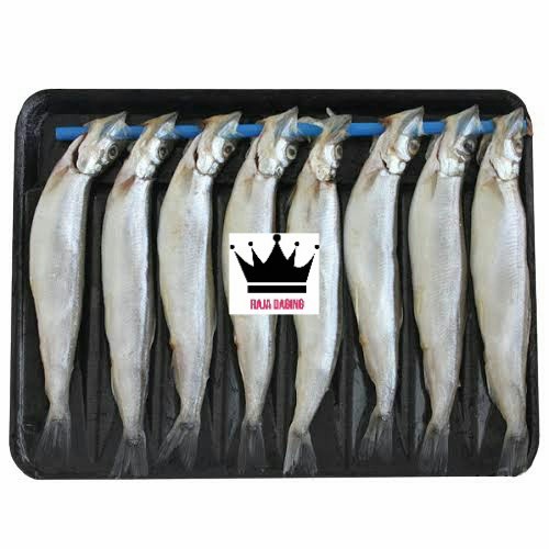 

Ikan Shisamo Telur 200gr - BARU