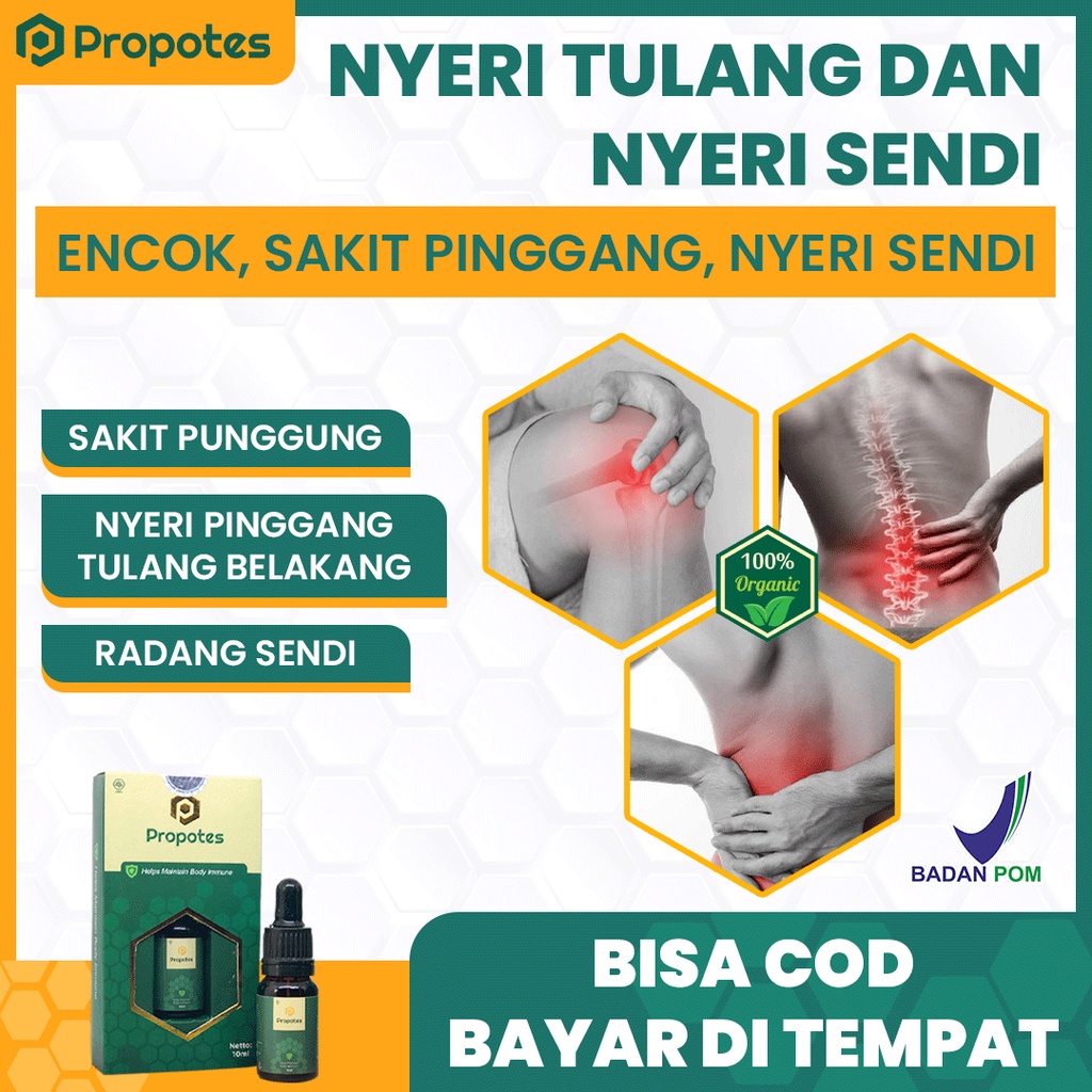 Obat Herbal Sakit Pinggang Belakang, Tulang Lutut, Syaraf Kejepit, Pengapuran Nyeri Tulang Sendi, Encok Sudah BPOM - Propolis PROPOTES 10ml