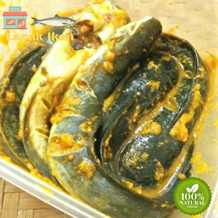 

Ikan Lele Bumbu Kuning Siap Masak - 1 Kilogram
