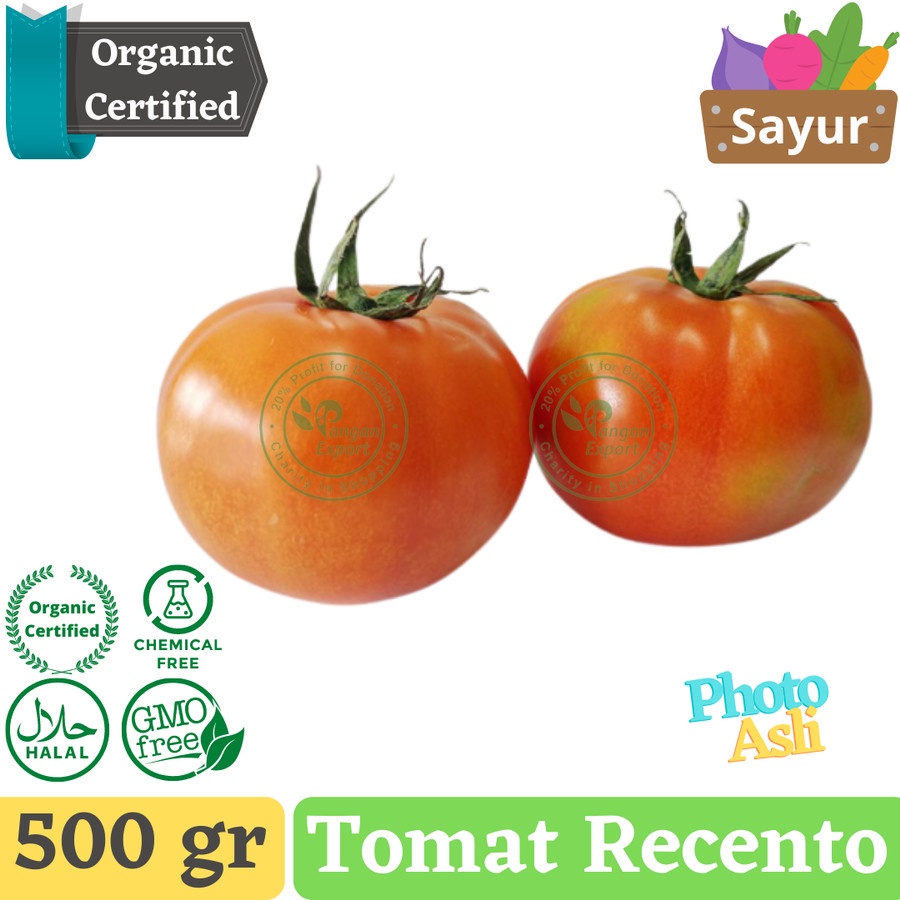 

Tomat Recento Organic | Tomat Beef Organik | Certified Organic Tomato