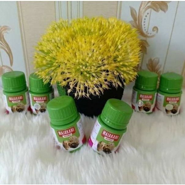 GROSIR RESELLER MAJAKANI MOMO