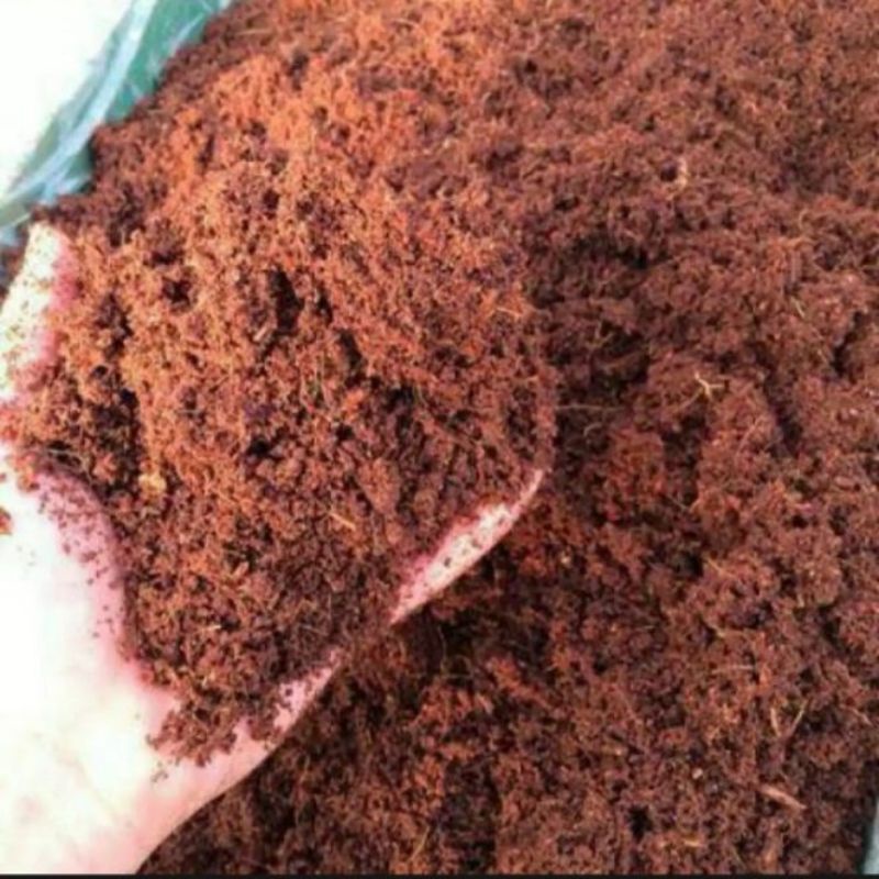 [500GR] Cocopeat alas kandang substrat kelomang crocodile skink tarantula kalajengking pacman gecko kelabang insecta ular