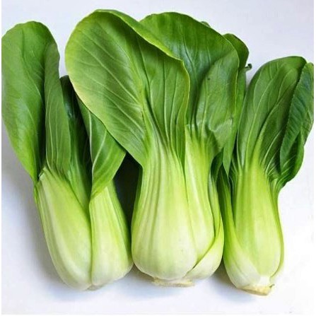

Sawi Daging Pakchoy Bakchoy Sayur Segar 120 gram