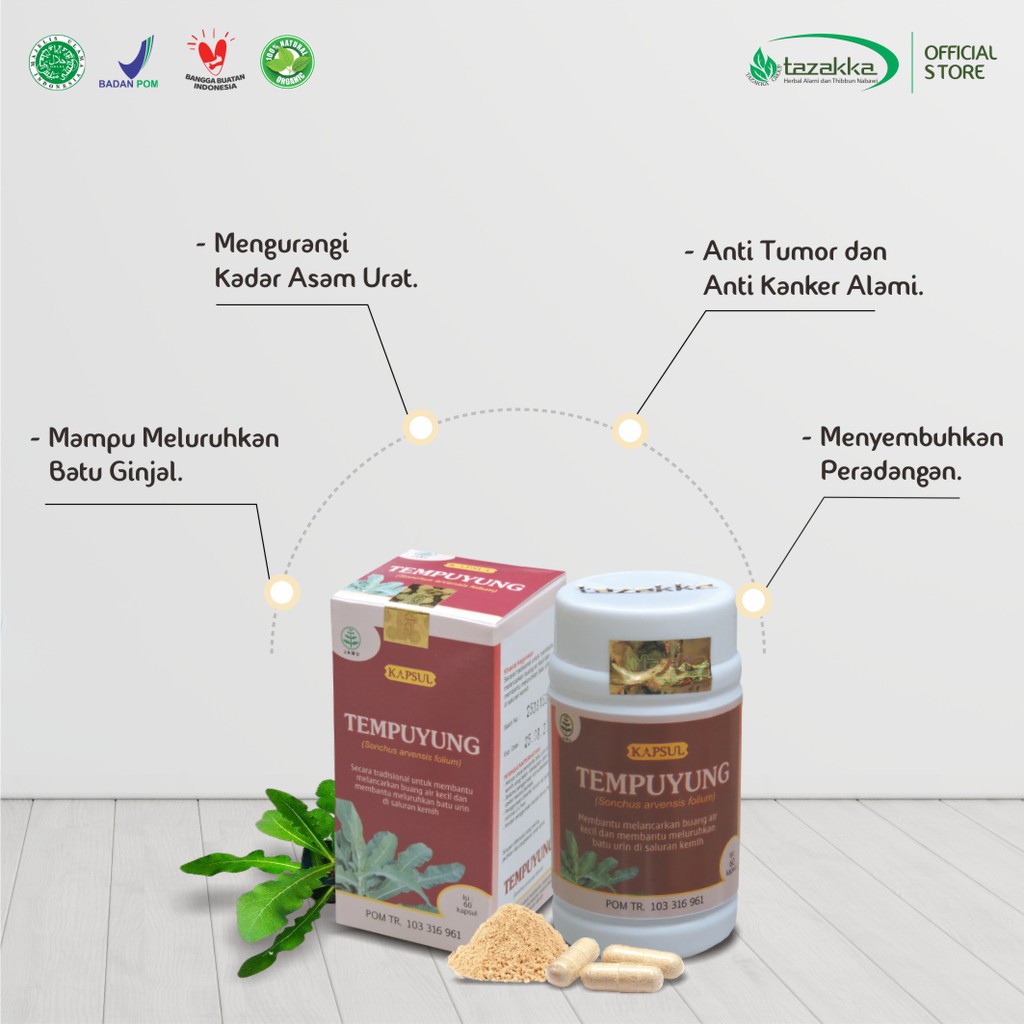 Obat batu ginjal | Kapsul Herbal TEMPUYUNG Tazakka isi 60 Kaps | Obat Peradangan yang BPOM ORIGINAL