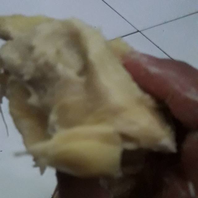 

Duren Mang Kumis