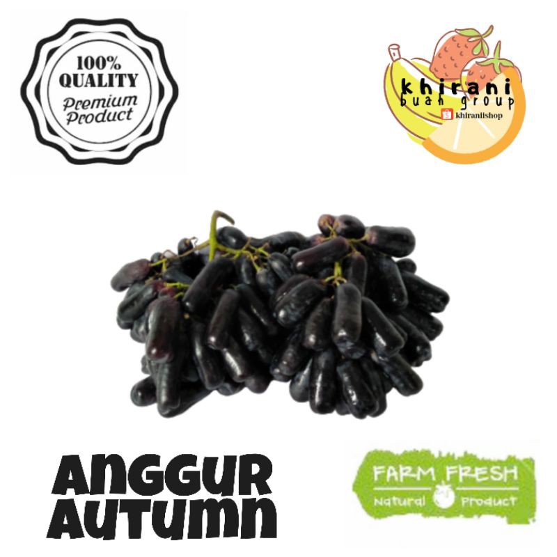 

ANGGUR SHAPIR