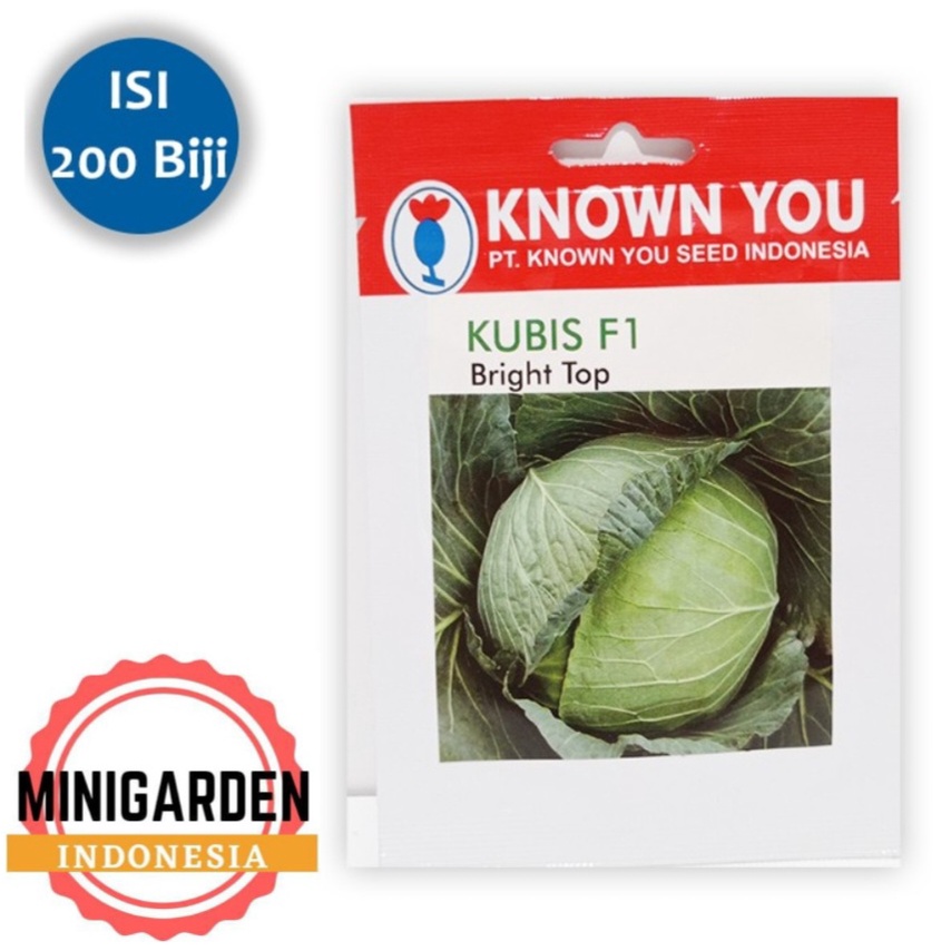 KUBIS BRIGHT TOP Benih Kubis hijau F1unggul bibit kol known you seed