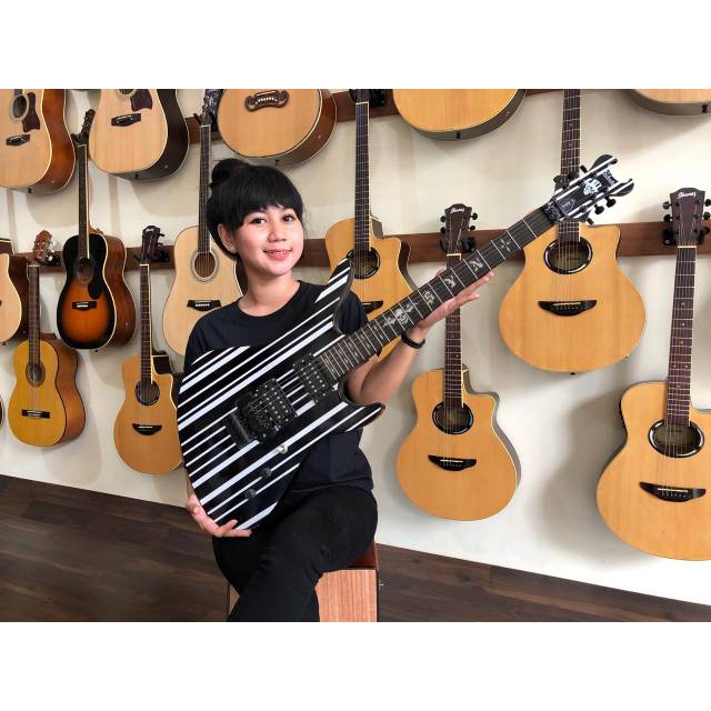 Gitar Shecter Synister Gets
