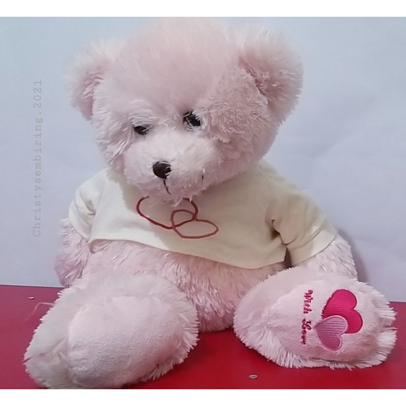 BONEKA Teddy kostum