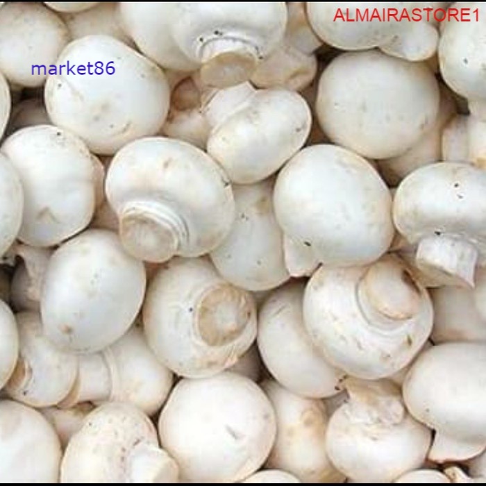 

Grosir Sayuran Segar Sayur FRESH Jamur Kancing 100 Gram murah - Market86