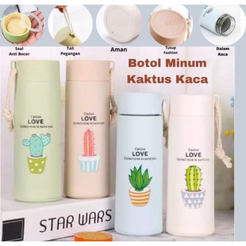 Botol Kaca Kaktus