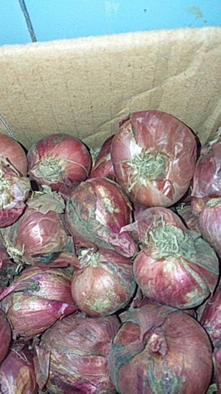 Bawang Merah Lokal 1kg